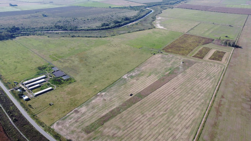 Campo De 175ha En Maciel