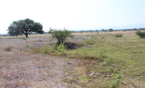 Terreno En Venta En Pedro Escobedo