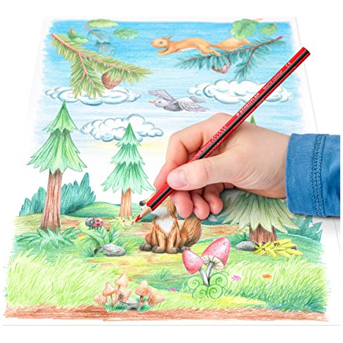 Staedtler 187 C12p1 Lápices De Colores Noris Color (resiste