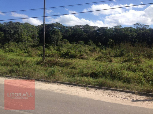 Imagem 10 de 19 de Terreno À Venda, 570 M² Por R$ 50.000,00 - Cidade Jardim Coronel - Itanhaém/sp - Te0328