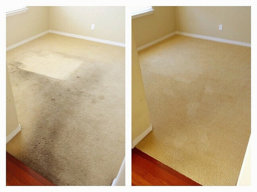 Imagen 5 de 5 de Limpieza De Sillones Y Alfombras