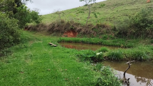 Vende-se Sítio Com Área Total De 14.6 Hectares