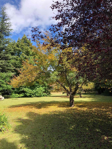 Casa De Campo Y Parque. Lugar Único En Tafí Del Valle
