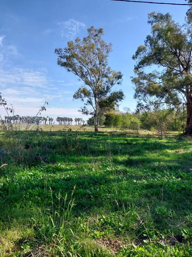 Lote En Venta En La Cañada I, City Bell