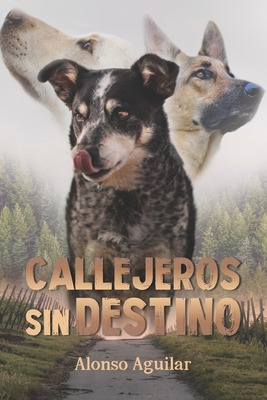 Libro Callejeros Sin Destino - Aguilar, Alonso