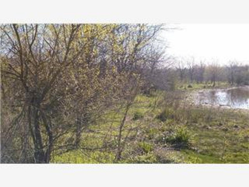Imagen 4 de 4 de Campo En Venta En Pilar