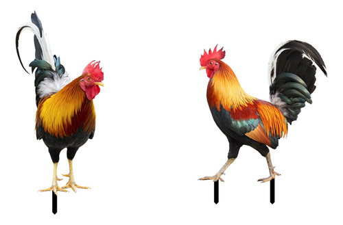 Juego De 2 Estatuas De Gallo Acrílicas, Estatuas De Jardín
