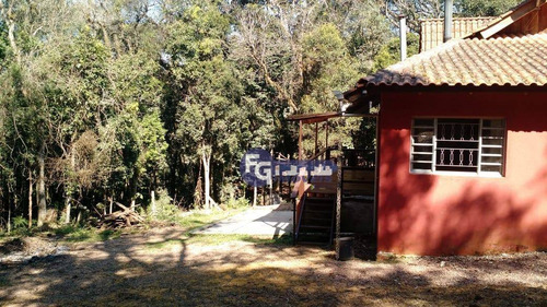 Imagem 5 de 25 de Chácara Com 2 Dormitórios À Venda, 5400 M² Por R$ 319.000,00 - Campestre Da Faxina - São José Dos Pinhais/pr - Ch0013