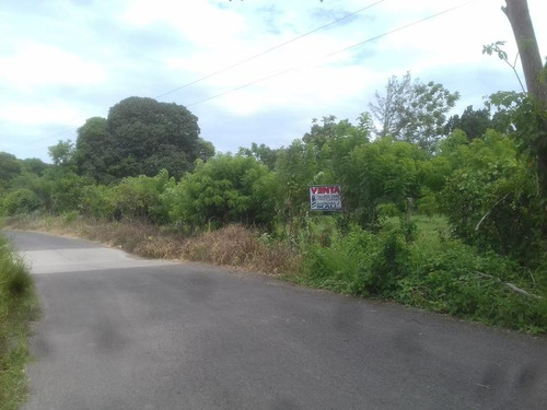 Venta Terreno 5000 M2 Frente Al Estero De Juana Moza Tuxpan Veracruz