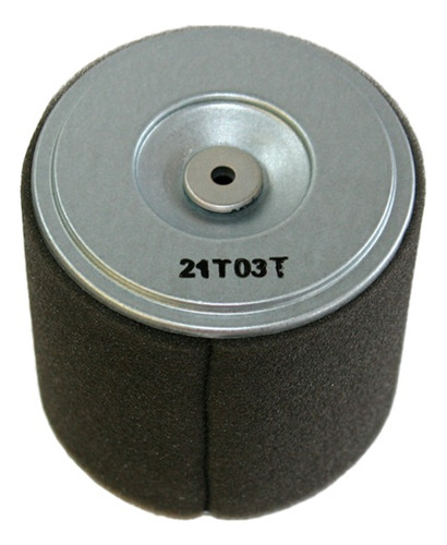 Elemento Filtro Aire Conico Honda Motor Gx39 Original