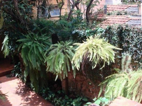 Imagem 2 de 9 de Sobrado Residencial À Venda, Mooca, São Paulo. - So0905