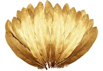 Comprar Plumas De Ganso Naturales En Dorado Con 20 Plumas 15-20cm