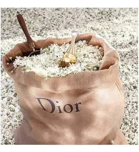 J'adore Dior Perfume Feminino Eau de Parfum 100ml Floral