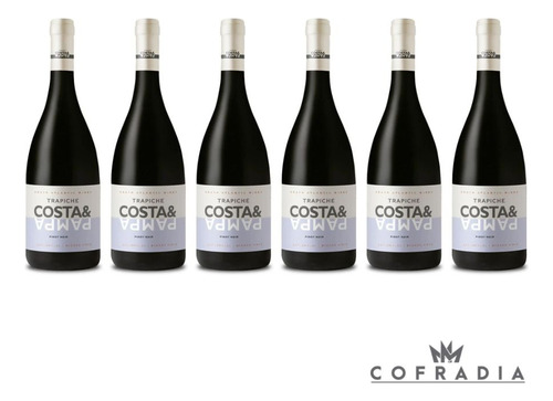 Vino Costa & Pampa Pinot Noir Bodega Trapiche 750ml Caja X6