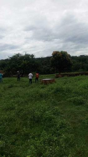 Imagem 20 de 25 de Fazenda Com 178 Hectares Rica Em Agua Em Felixlandia Mg - 36425
