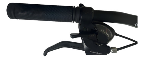 Bicicleta Raleigh Agile Aro 29