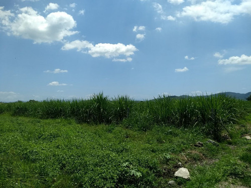 Venta De Terreno $7099,000.00