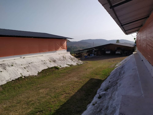 Vendo Finca En Tinaquillo Cojedes Mg