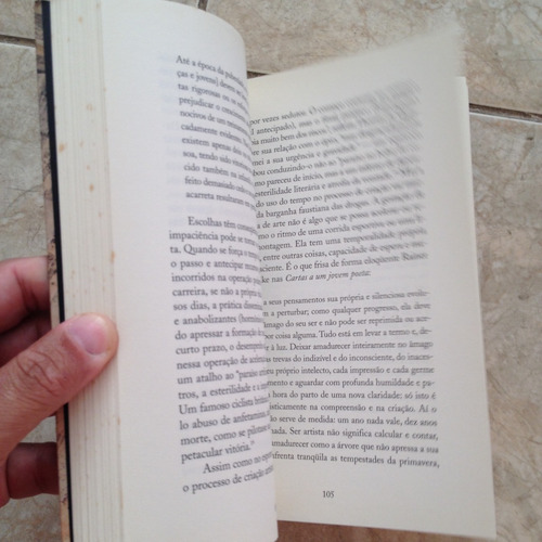 Livro O Valor Do Amanhã - Eduardo Giannetti T2