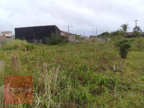 Imagem 8 de 23 de Terreno À Venda, 353 M² Por R$ 85.000,00 - Jardim Jamaica - Itanhaém/sp - Te0298