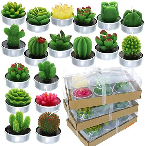 Giftexpress 18 Velas De Cactus Suculentas Sin Estilo