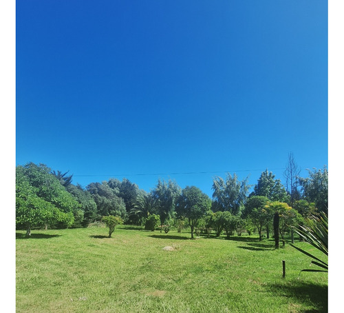 Vendo Hermosa Parc De 6.500 M2 Rol Propio Culipran Melipilla