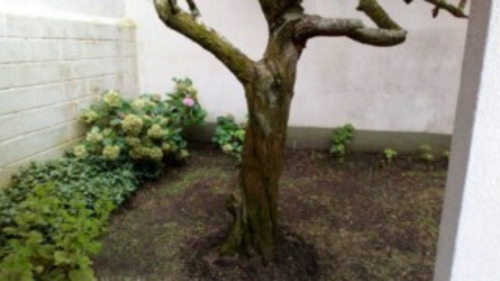 Imagen 19 de 23 de V071 - Muy Buena Casa En Venta, Cerca Del Mar, Excelente Estado