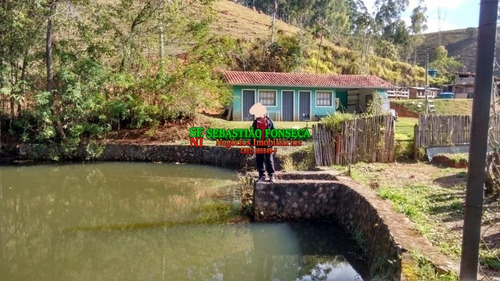 Vende/ Troca Chácara Com 5 Mil M² Em Redenção Da Serra - 1571