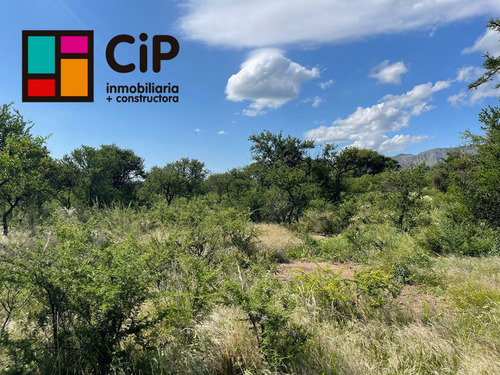 Venta De Lote En Cortaderas A Metros Dique Piscu Yaco