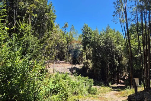 Venta Parcela C/ Acceso A Lago San Antonio Chiloe