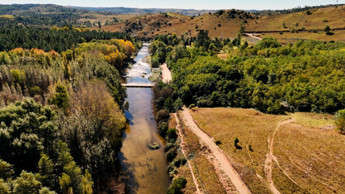 Magnificas Fracciones De Campo De 3 Ha. Con Costa De Arroyo Y Bajada Al Río. San Miguel De Los Rios. Yacanto De Calamuchita