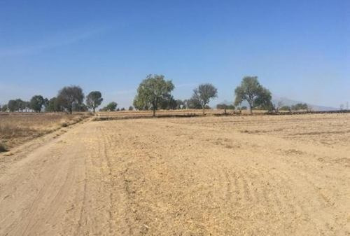 Imagen 2 de 5 de Terreno - San José Chiapa