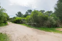 Comprar Cerro De Los Burros