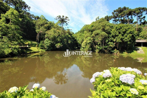 Imagem 4 de 30 de Chácara À Venda, 84283 M² Por R$ 2.000.000 - Quatro Barras - Quatro Barras/pr - Ch0023