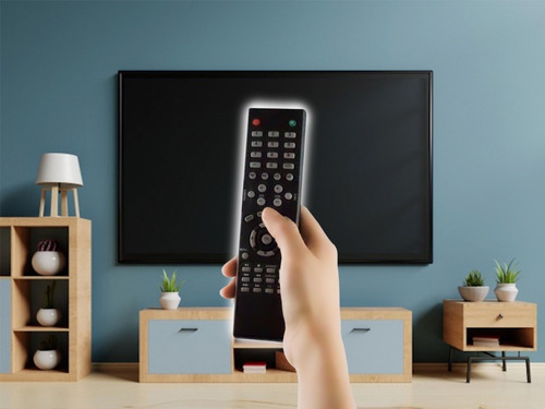 Control Remoto Polaroid Pantalla Lcd Led Directo