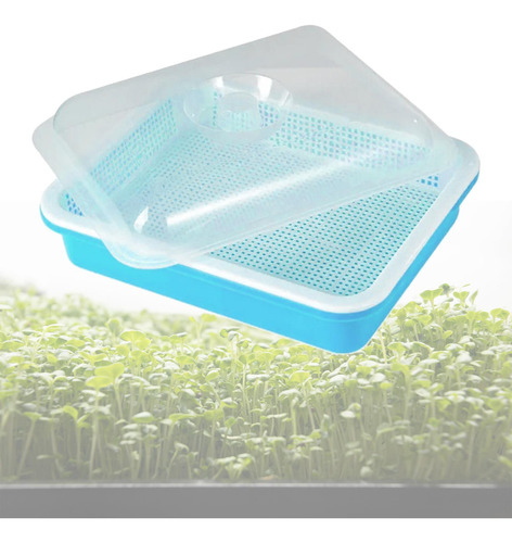 Bandeja Germinadora De Semillas, Contenedor De Azul