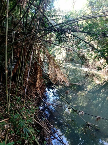 Imagem 29 de 30 de Chácara À Venda Em Rio Dos Cedros/sc - 1742c