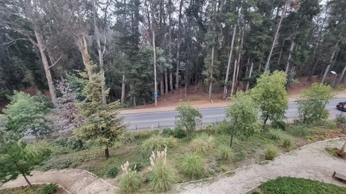 Imagen 8 de 13 de Jardines De Curauma - Valparaíso