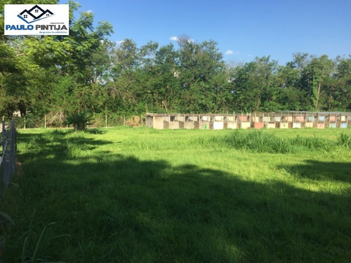 Imagem 17 de 17 de Área De 31.500m Comercial / Residencia Na Rodovia Lix Da Cunha. - Te01509 - 33411597