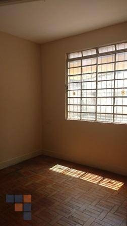 Casa Comercial À Venda, Lourdes, Belo Horizonte - Ca0254. - Ca0254