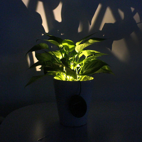 Luz Accionada Solar, Maceta Impermeable, Maceta, Luces,