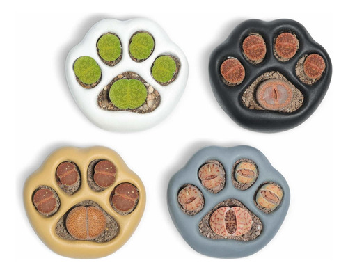 Maceta De Cemento Suculentas Juego De 4 Macetas Lithop...