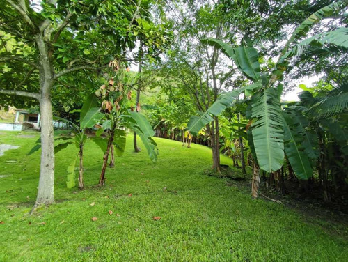 Imagen 22 de 30 de Venta De Terreno Amplio Con Bienhechurias, El Castaño Edo Aragua