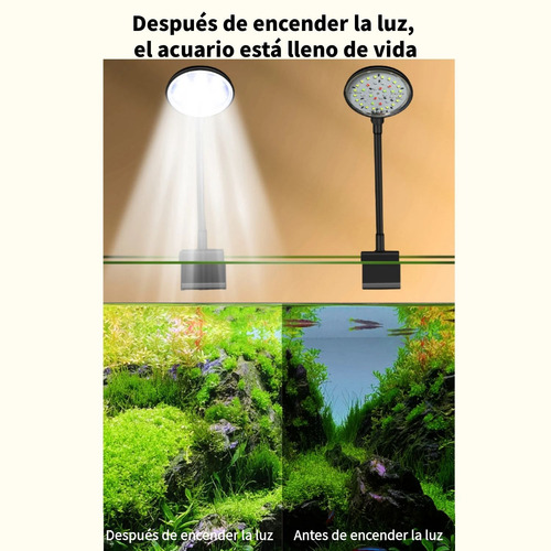 Lámpara 6w Usb Para Pecera Con Clip, 3 Modos De Luz