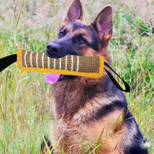 Juego Interactivo De Entrenamiento De Perros Dog Bite Pillow
