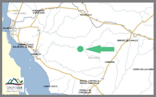 Venta Campo Próximo A Carmelo Colonia