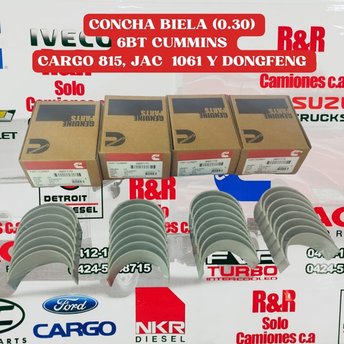 Concha Biela 6bt (0.30) Dong Feng (marca Cummins)