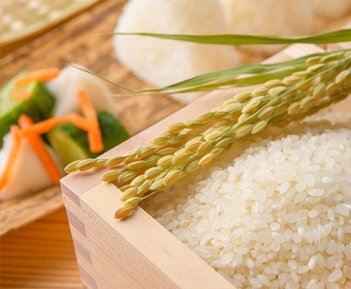 Arroz Koshihikari Ideal Sushi Bolsa 30 Kg