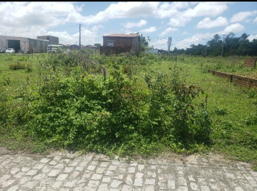 Imagem 3 de 9 de Terreno Quitado 200metros Quadrado Loteamento Santos Dumond