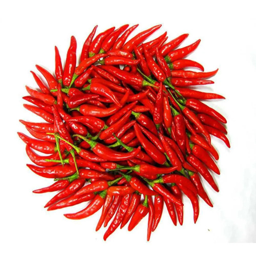Imagem 1 de 4 de 20 Sementes De Pimenta Malagueta Crioula Capsicum Chili